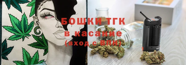 винт Богданович