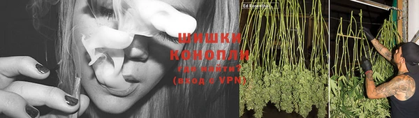 a pvp Богородск