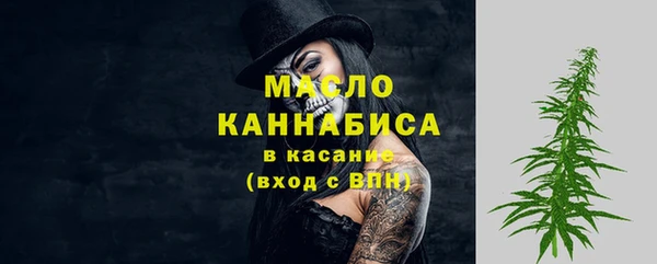 стаф Новодвинск