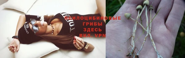 винт Богданович