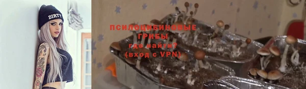 винт Богданович