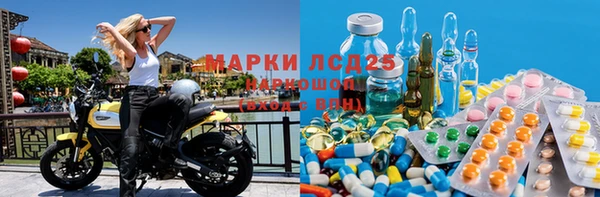 прущий лед Новозыбков