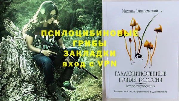 a pvp Богородск