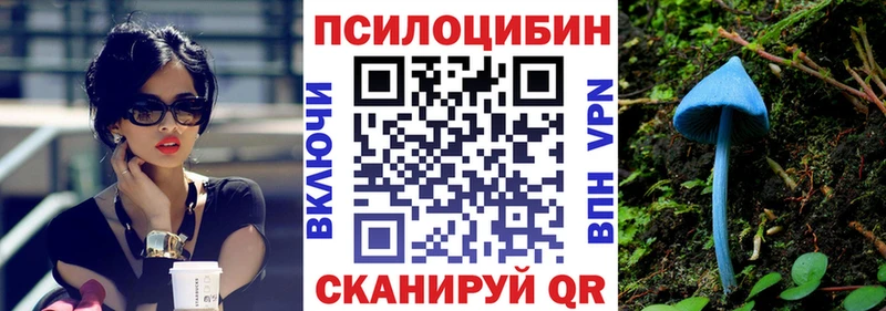blacksprut маркетплейс Дудинка Галлюциногенные грибы Psilocybine cubensis как найти наркотики